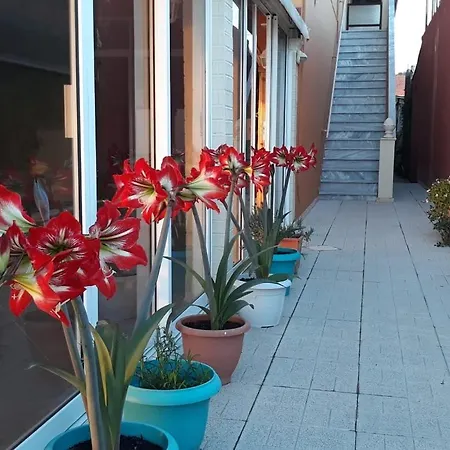 Guest house Porto-fino